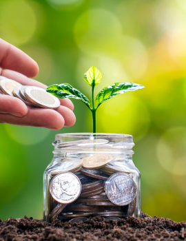 black white leaf logo (Card (6 in x 4 in)) (12)